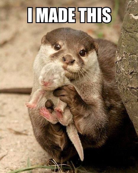 Funny-Otter-I-made-this-Baby-Otter.jpg
